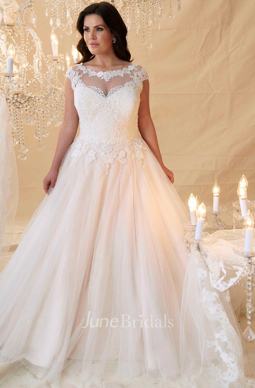 plus size wedding dresses with sleeves and color